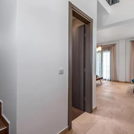 Diagoras & Attalos *